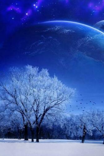 Wallpaper Nature Landscape Winter Sky Snow Full Moon