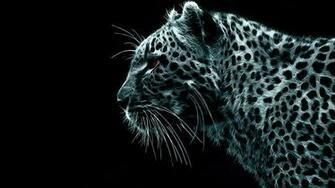 Snow Leopard