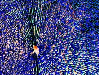 Realistic Cracked And Broken Screen Wallpaper Technosamrat