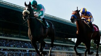 Horses Image Zenyatta HD Wallpaper And Background Photos
