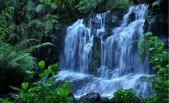 Fresh Beautiful Nature Scene Wallpaper
