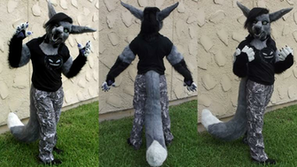 Chaos Fursuits Photo