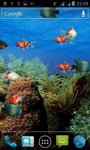Aquarium Live Wallpaper Aplikacja Android Instalki Pl