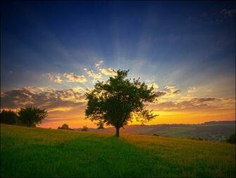 Amazing Sunset Desktop Wallpaper Designmodo