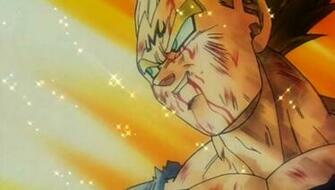 Vegeta Majin Dragonball Z Wallpaper