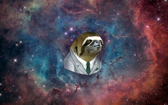 Slothstronaut