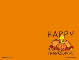 Peanuts Thanksgiving Wallpaper Grasscloth