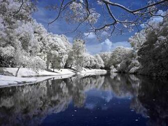 Widescreen Desktop Fresh Nature Wallpaper Super Beautiful