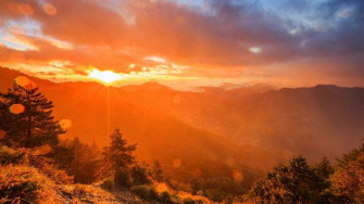Landscape Mountain Trees Sun Rays Wallpaper