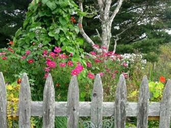 Country Garden En Nb Wallpaper