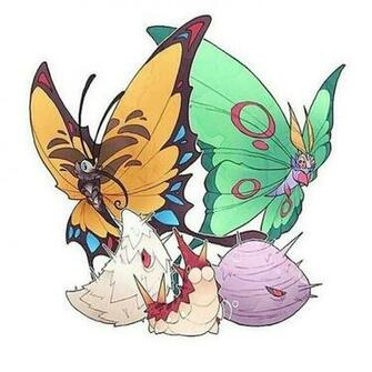 Beautifly Or Dustox Pokemon
