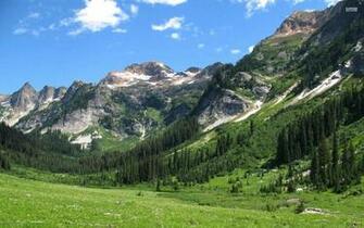 Washington State Hintergrundbilder Spinne Wiese