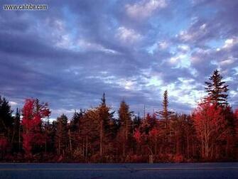 New Hampshire Fall Foliage Wallpaper Zealand South Africa Samoa Amp