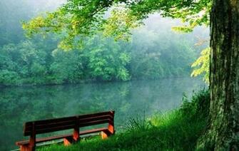 Count Your Blessings Intuitive Coaching And Energy Healing Josie Nigro