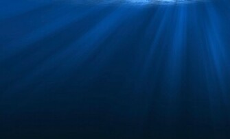 The Ultimate Control In Aquatic Environments Enterprises
