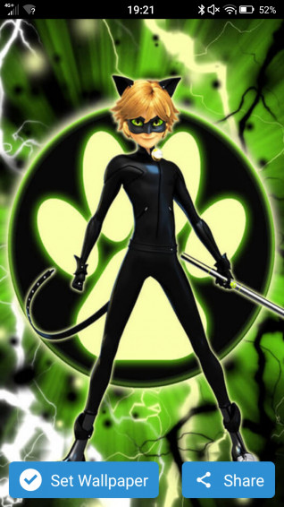 Anime Wallpaper Cat Noir Picture