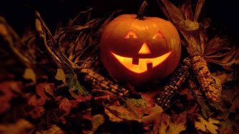 Funny Halloween Pumpkin And Corn HD Wallpaper