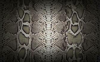 Textures Snake Skin Wide By Loo Lee Customization Wallpaper Abstract