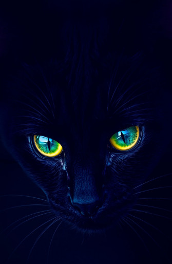 Black Cat Eyes Wallpaper