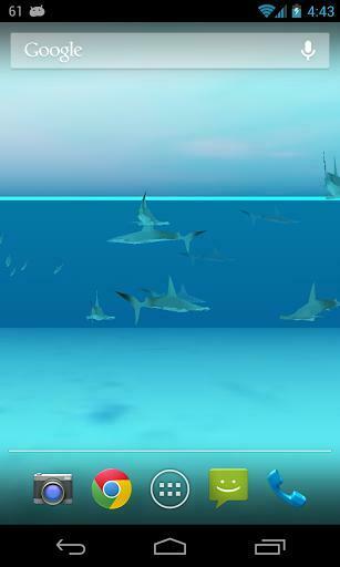 3d Shark Live Wallpaper For Android