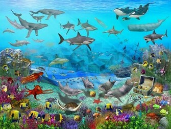 Sea Life Wallpaper And Sunset