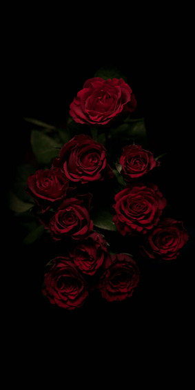 Dark Floral Wallpaper