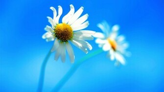 Wallpaper And Screensavers For Computer