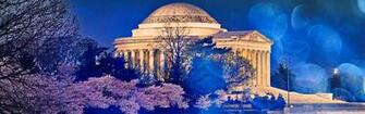 Thomas Jefferson Memorial Cherry Blossom 4k HD Desktop