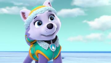Everest Paw Patrol Photo