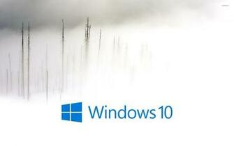 Windows In The Foggy Winter Day Wallpaper Computer