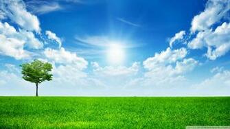 Green Nature 4k HD Desktop Wallpaper For Dual Monitor