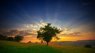 Scenic Photography Wallpaper Background