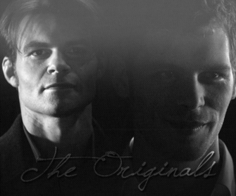The Vampire Diaries Which Are Your Favorite Brothers