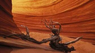 Bizarre Forms Antelope Canyon Wallpaper And Image