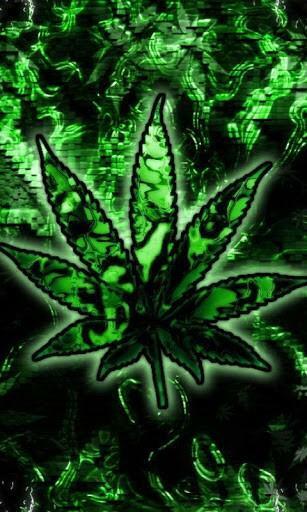 HD Wallpaper Weed Leaf X Kb Jpeg