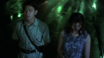 Watching Asia Film Res Days Of Being Wild Re