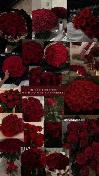 Rose Red Aesthetic Wallpaper In