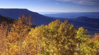 Grand Mesa In Autumn Colorado