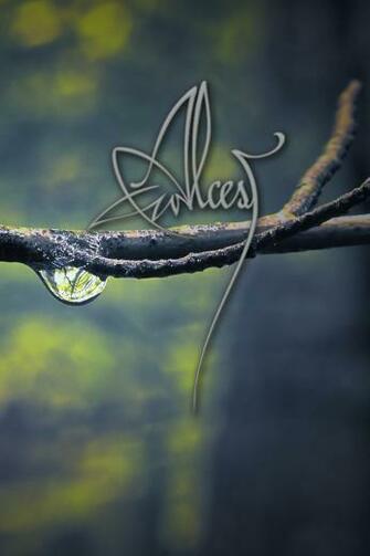 Alcest iPhone Wallpaper By Agreliwyn