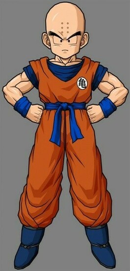 To The Dragon Ball Krillin Wallpaper Actress Just Right