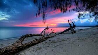 Name Pink Sunset On The Beach HD Wallpaper Description