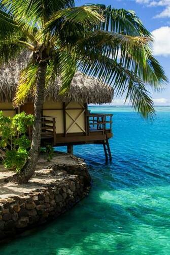 Maldives Hut Palm Tree Sea Water iPhone Wallpaper