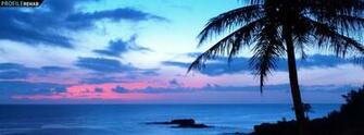 Beautiful Sunset And Palm Tree Cover Pre