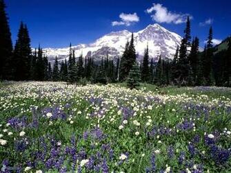 Mount Rainier