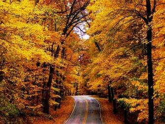 Fall Road Wallpaper