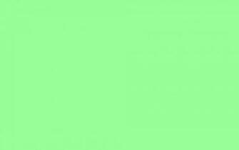 Solid Mint Green Background