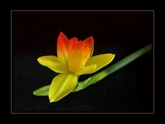 Color Me Beautiful Wallpaper