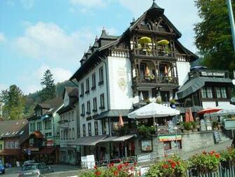 The Black Forest Germany Wallpaper