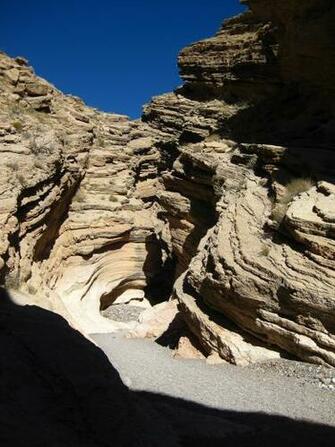 Western Wilds Lovell Wash Narrows Lake Mead Nv February