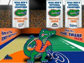 Gator Wallpaper Florida